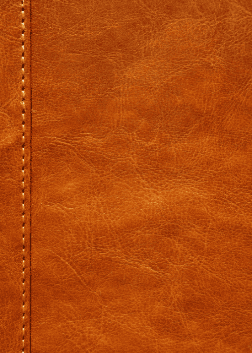 Leather & Speciality Chemical Treatment