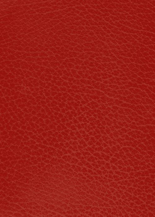 Synthetic Leather Treatment
